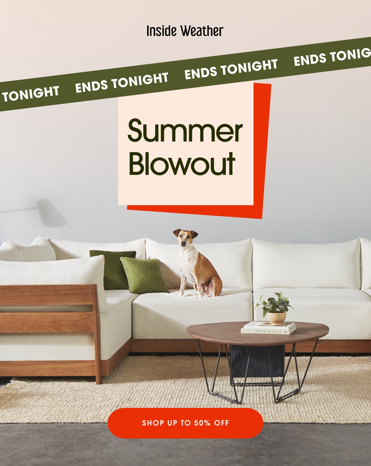 Summer Blowout