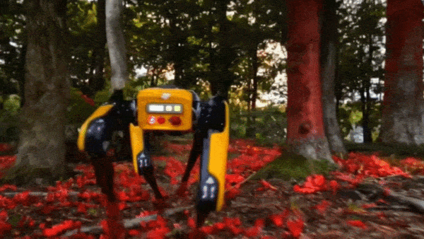 content-img-4-1774902273909.gif