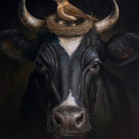 Cow Bird