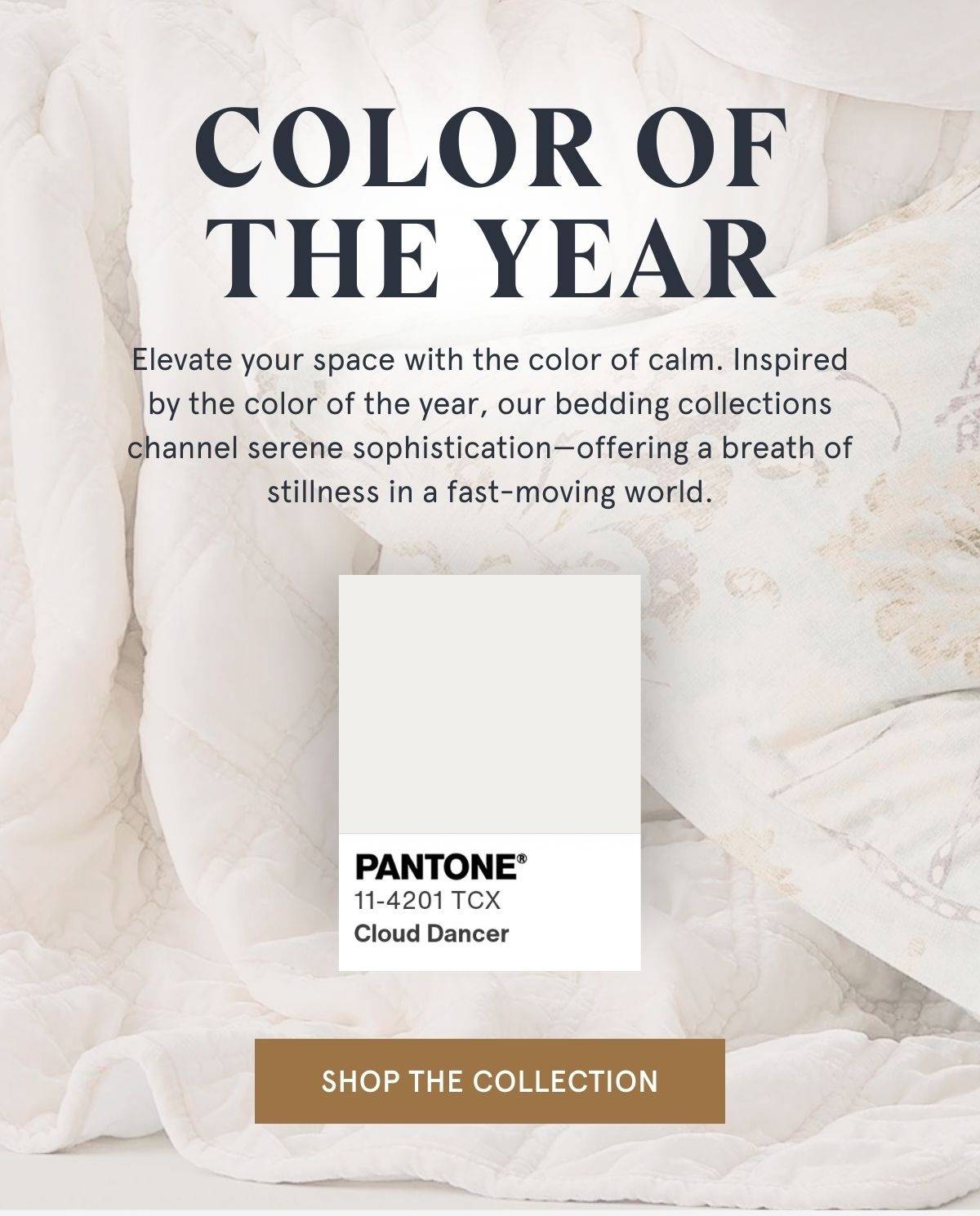 SHOP THE COLLECTION >