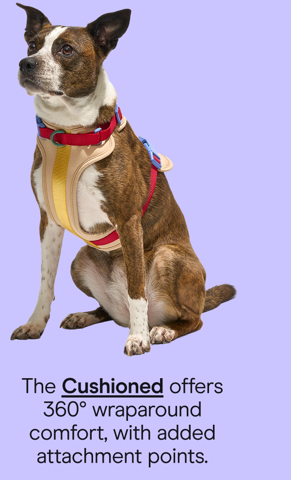 cushioned offers 360 wraparound comfort, and added attachment points..