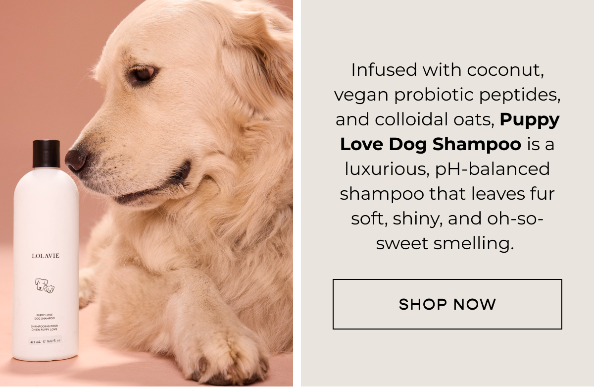 Infused with coconut, vegan probiotic peptides, and colloidal oats, Puppy Love Dog Shampoo is a luxurious, pH-balanced shampoo that leaves fur soft, shiny, and oh-so-sweet smelling. CTA [SHOP NOW]