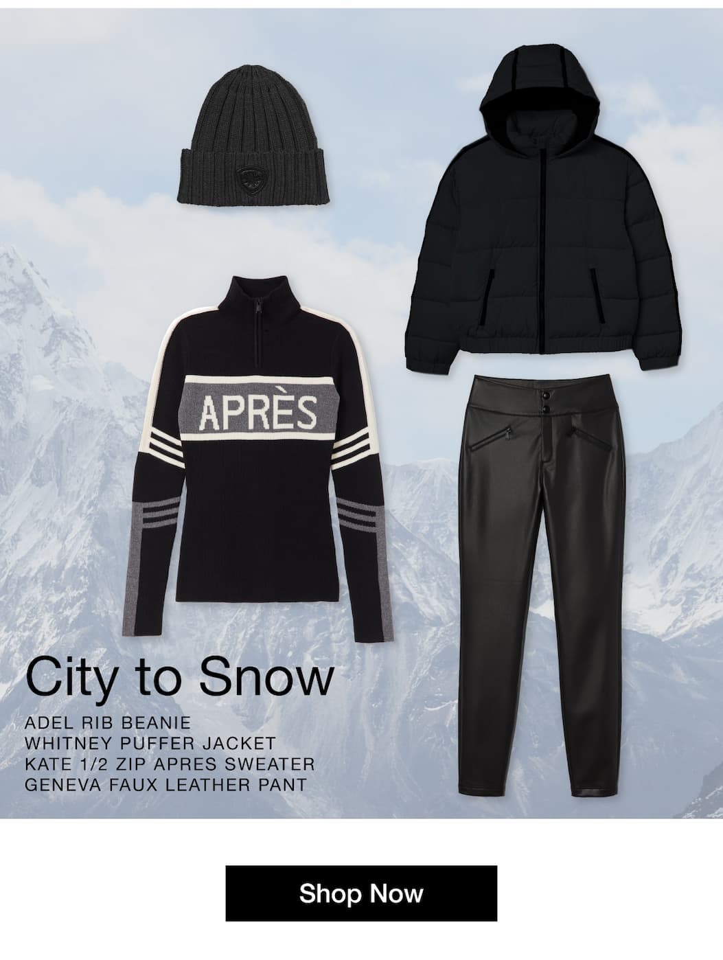 City to Snow