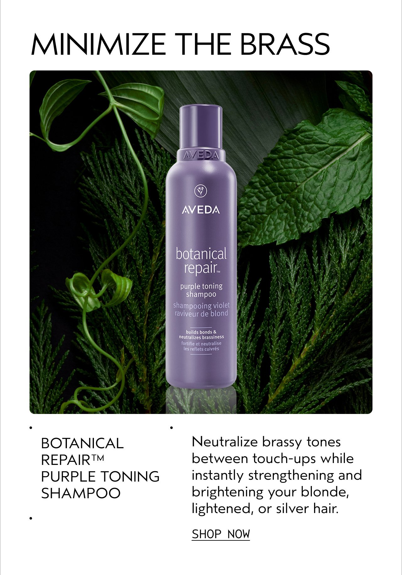 MINIMIZE THE BRASS | BOTANICAL REPAIR PURPLE TONING SHAMPOO | Neutralize brassy tones between touch-ups while instantly strengthening and brightening your blonde, lightened, or silver hair. | SHOP NOW