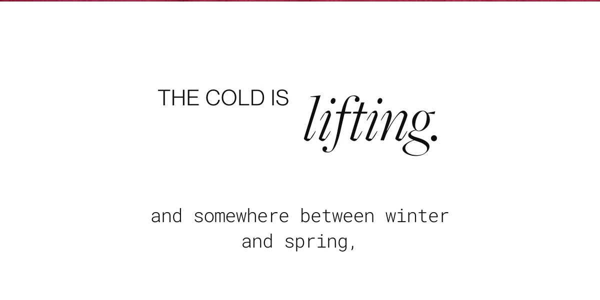 the cold is lifting. and somewhere between winter and spring,