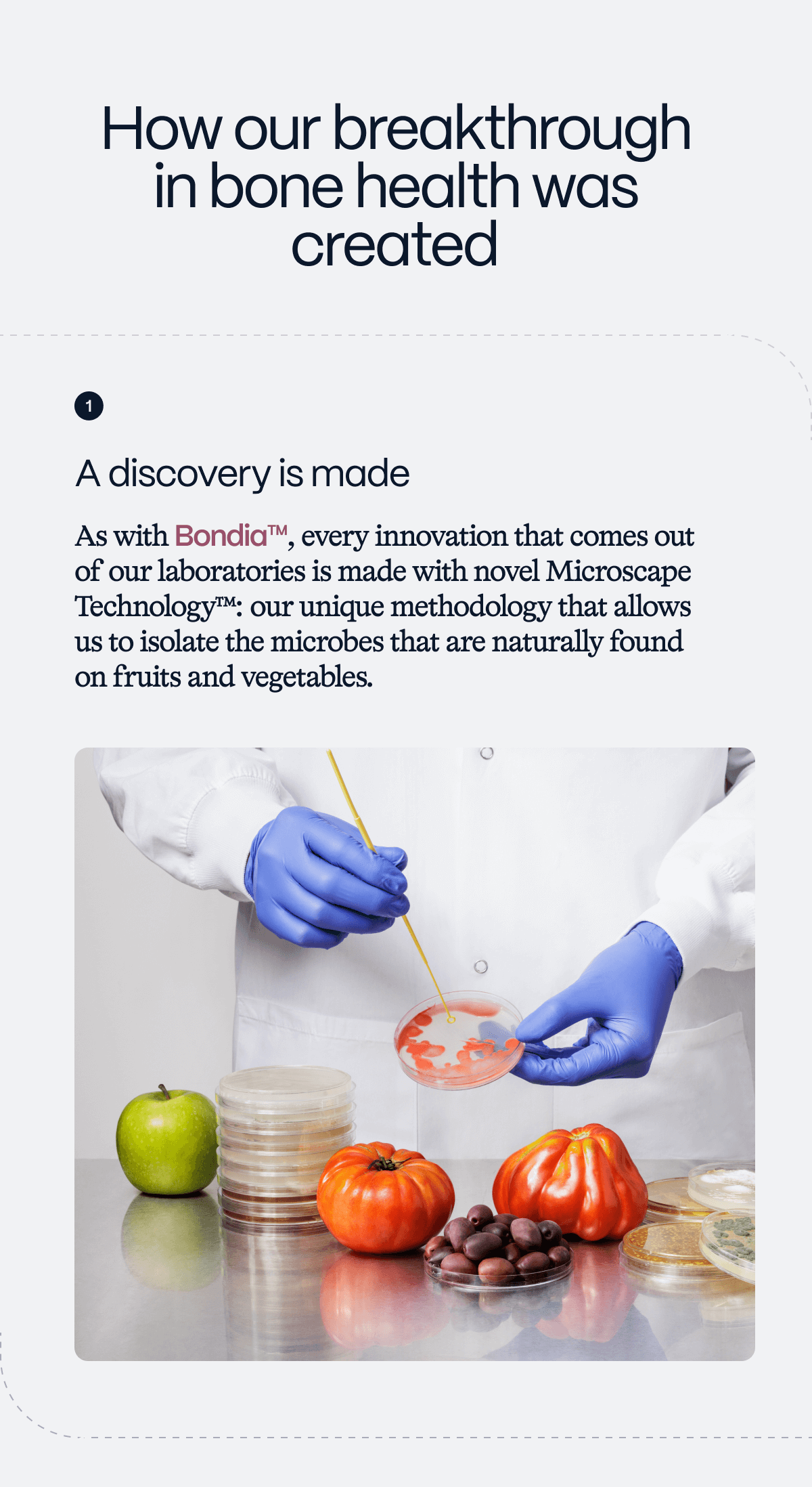 How it was created