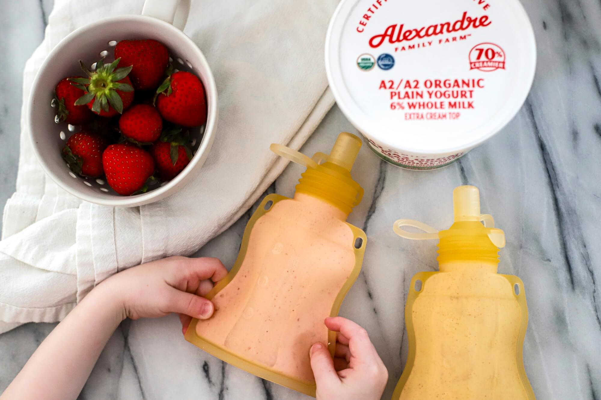 DIY Yogurt Pouches Image
