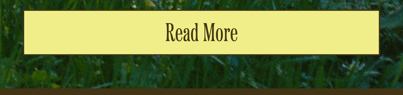 [Read More]