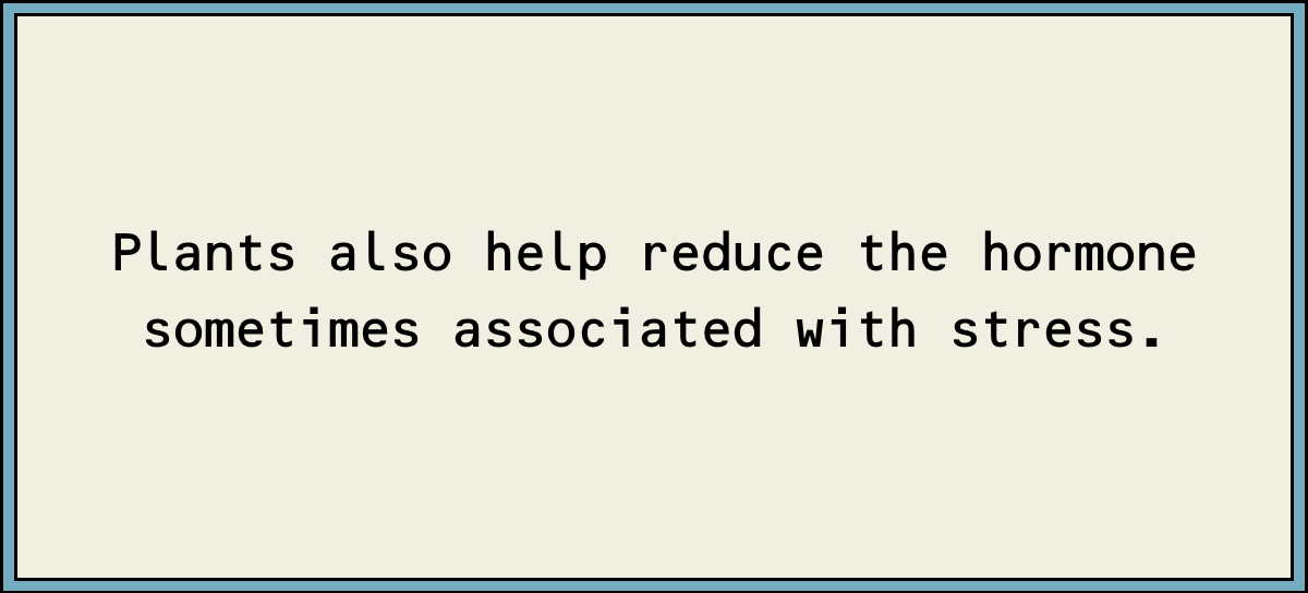 Plants also help reduce the hormone sometimes associated with stress.