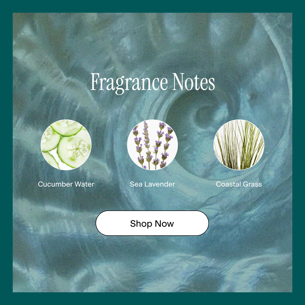 Fragrance Notes: Cucumber Water, Sea Lavender, Coastal Grass. Shop Now