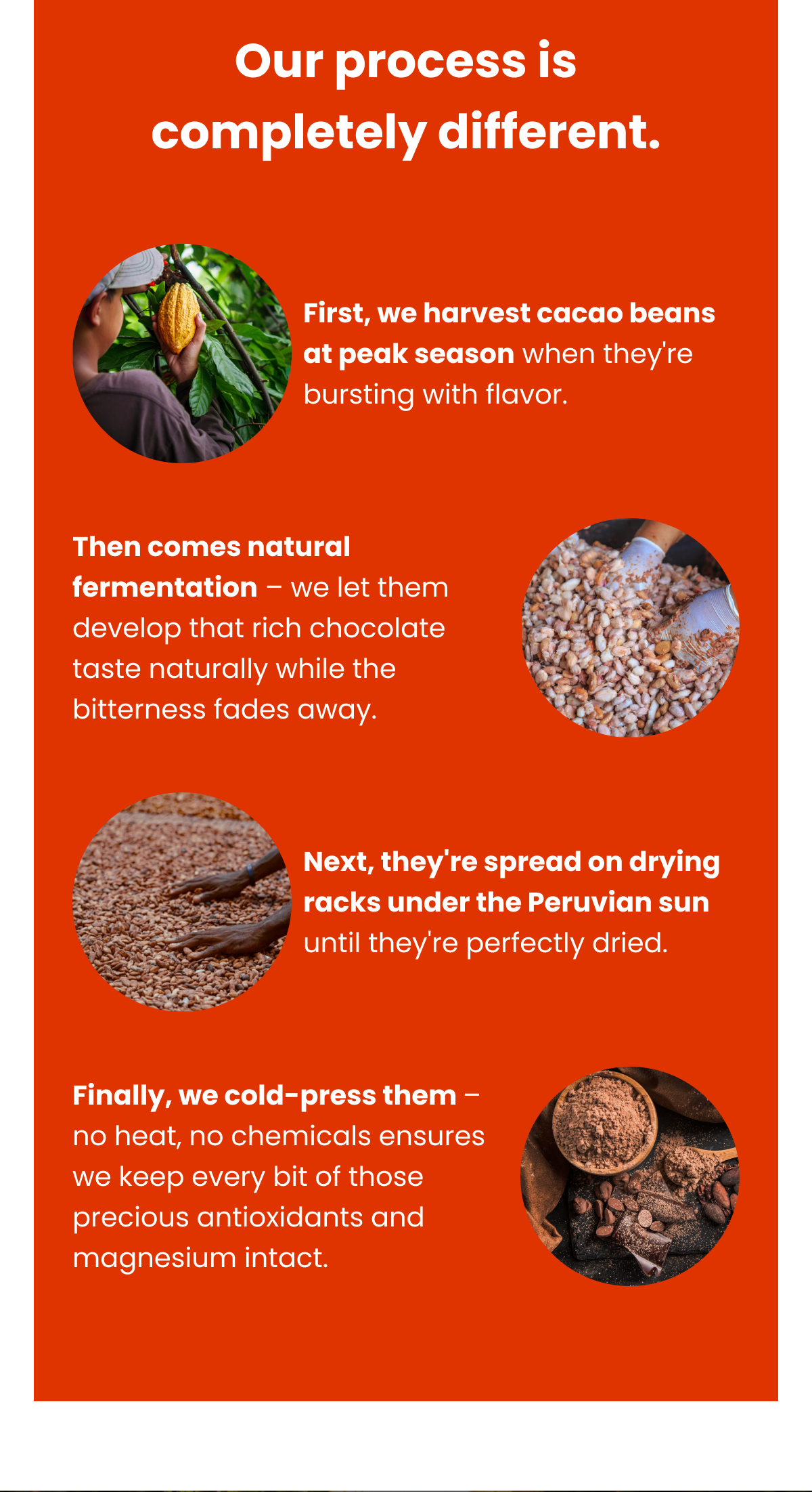 Our process is completely different. First, we harvest cacao beans at peak season when they're bursting with flavor. Then...