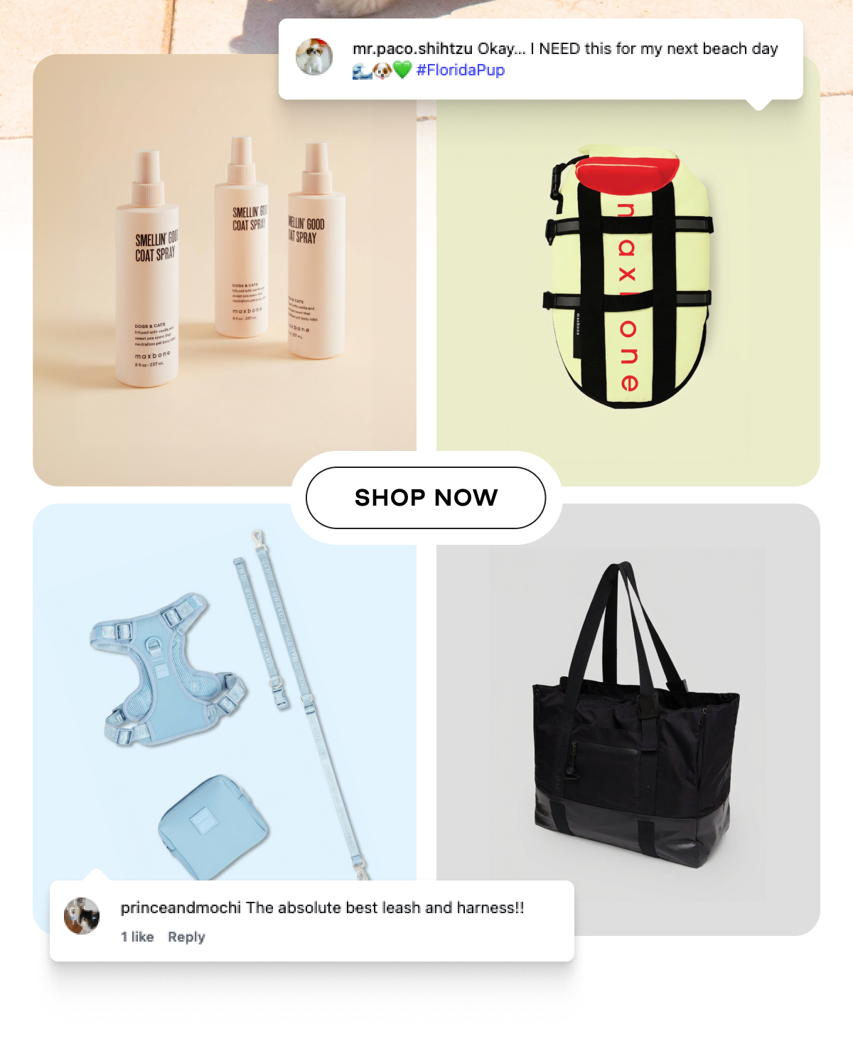 Shop Now