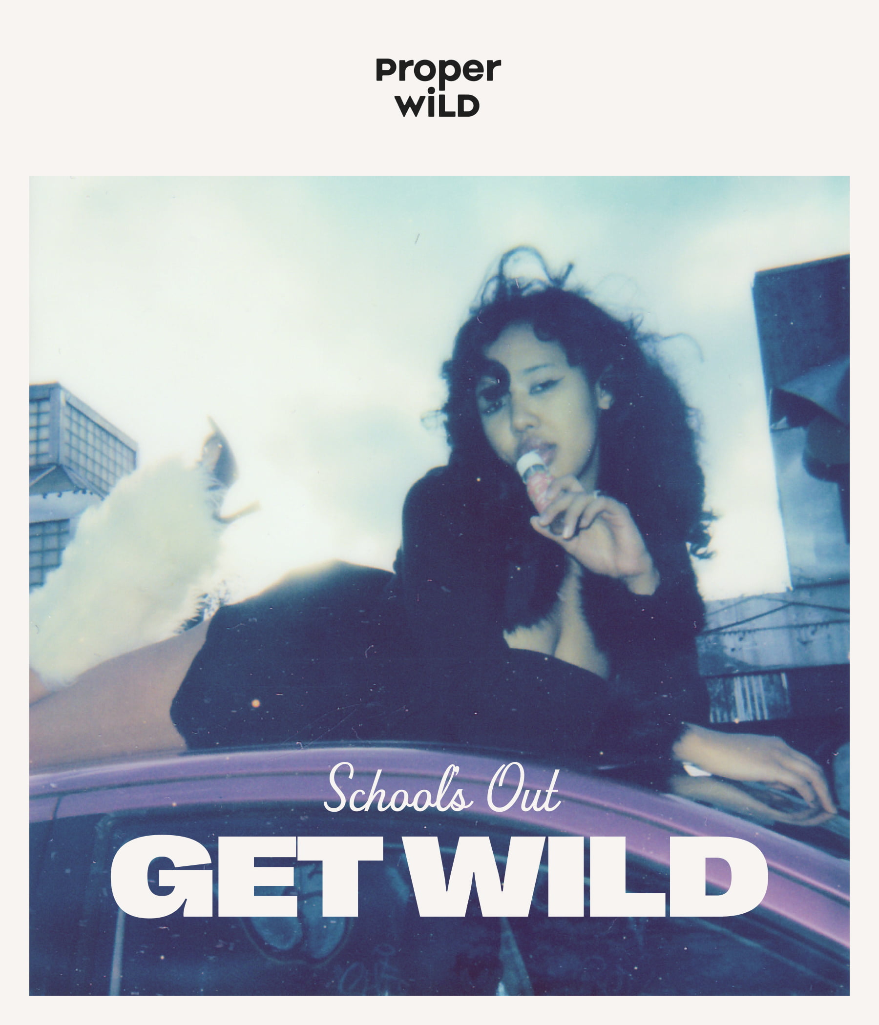 proper wild - school's out - get wild