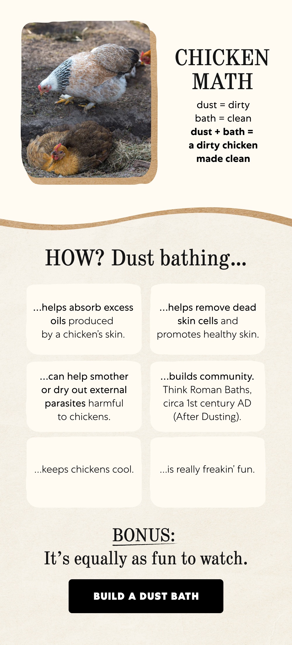 CHICKEN MATH dust = dirty bath = clean dust + bath = a dirty chicken made clean HOW? Dust bathing… …helps absorb excess oils produced by a chicken’s skin. …helps remove dead skin cells and promotes healthy skin. …can help smother or dry out external parasites harmful to chickens. …builds community. Think Roman Baths, circa 1st century AD (After Dusting). …keeps chickens cool. …is really freakin’ fun. BONUS: It’s equally as fun to watch. Build a Dust Bath