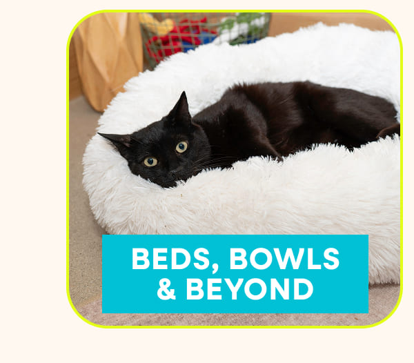Beds, Bowls & Beyond
