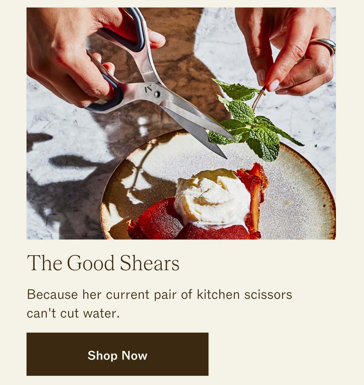 The Good Shears Because her current pair of kitchen scissors can't cut water. SHOP NOW