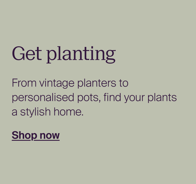 Get planting. From vintage planters to personalised pots, find your plants a stylish home.