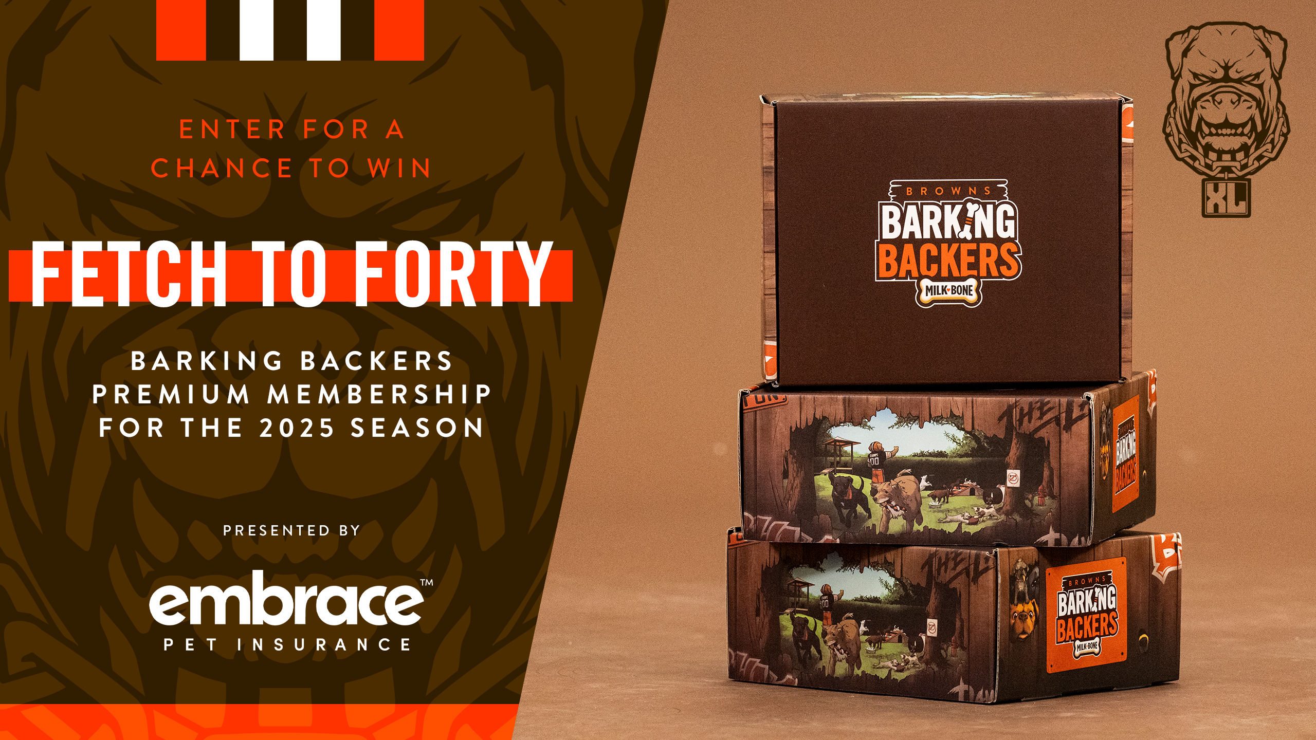 Embrace Presents: Fetch to Forty
