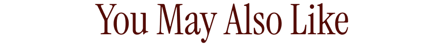 You May Also Like