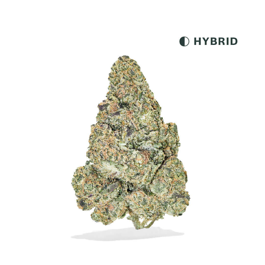 Image of Tangerine Dream THCA Flower