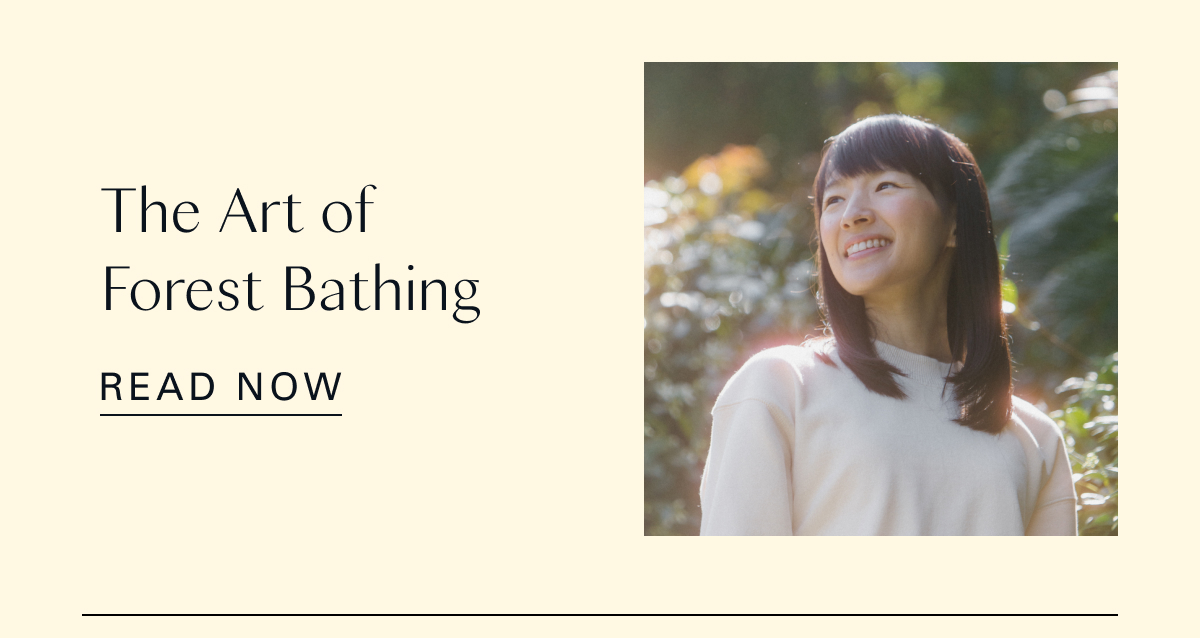 The Art of Forest Bathing 