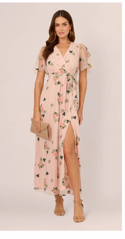 Floral Embroidered Maxi Dress With Sheer Flutter Sleeves In Blush Multi