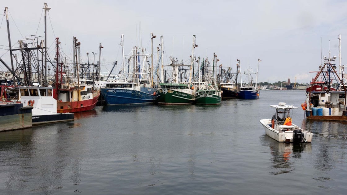 Catching the Codfather
