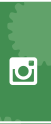Follow Us on Instagram