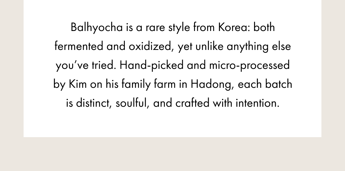 Balhyocha is a rare style from Korea: both fermented and oxidized, yet unlike anything else you’ve tried. Hand‑picked and micro‑processed by Kim on his family farm in Hadong, each batch is distinct, soulful, and crafted with intention.