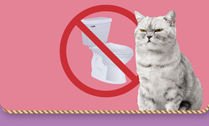 Clay can't be flushed.