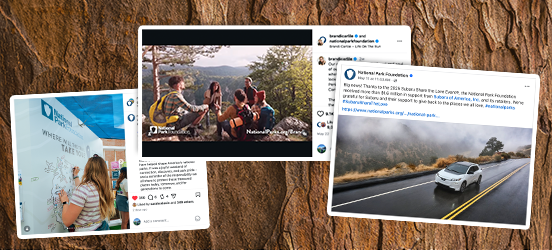A collage of screenshots of the linked social media posts on a woodgrain background