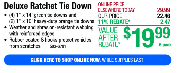 Deluxe Ratchet Tie Down - Free Shipping To Store!