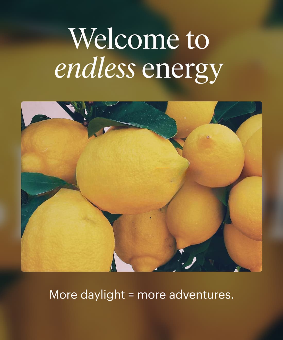 Welcome to endless energy