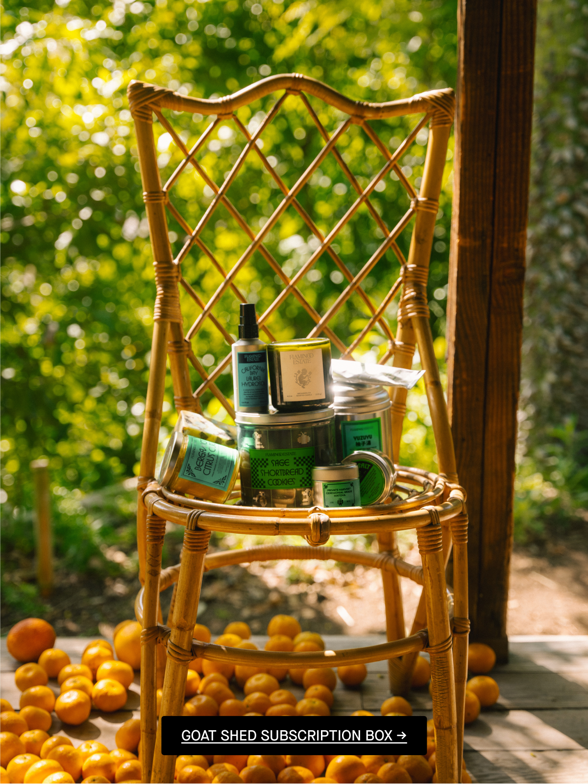 Seasonal Subscription Box