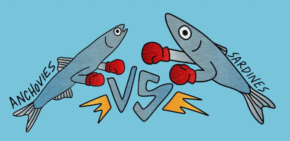 Anchovies vs Sardines