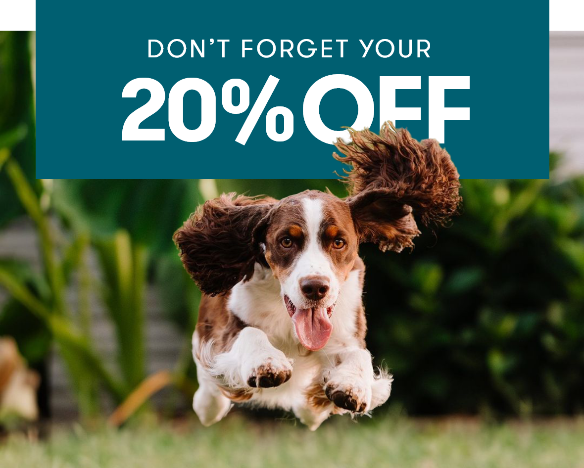 Don't Forget Your 20% OFF