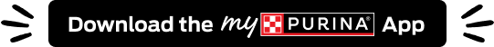 Download myPurina app