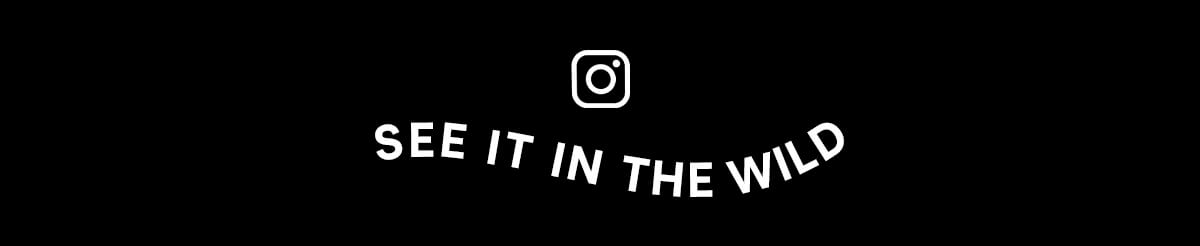 Follow us on Instagram