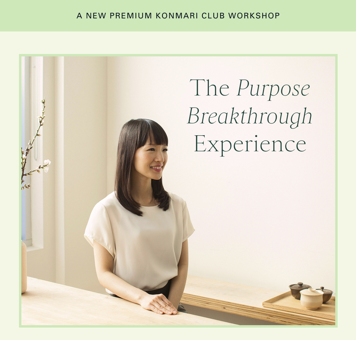 A New Premium KonMari Club Workshop: The Purpose Breakthrough Experience