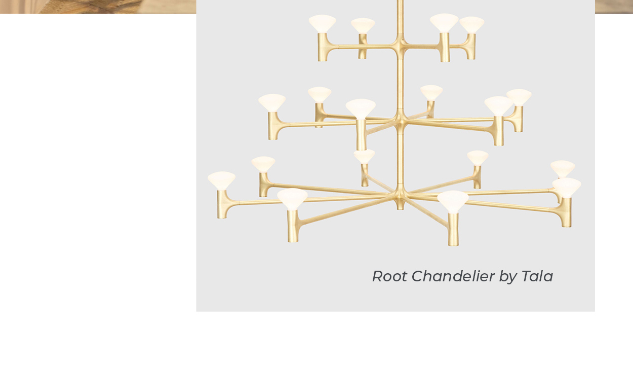 Root Chandelier by Tala