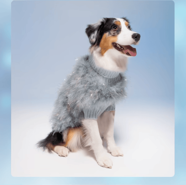 Layer Up, Pup