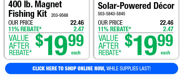 Solar-Powered Décor - ONLY $19.99 After Rebate*!