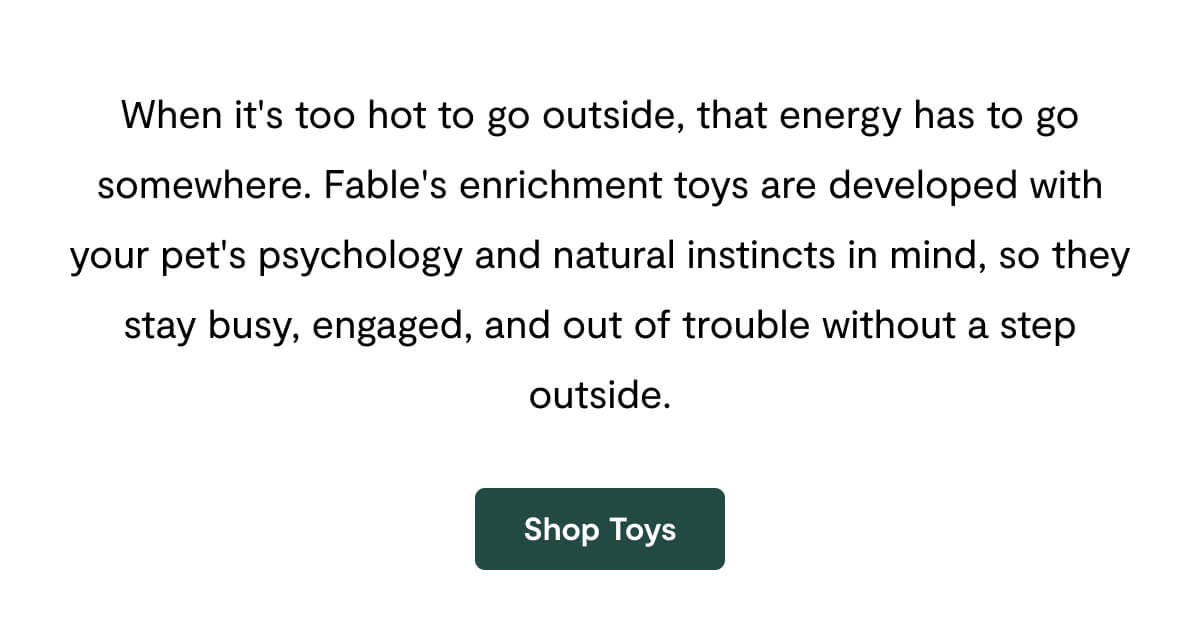 When it's too hot to go outside, that energy has to go somewhere. Fable's enrichment toys are developed with your pet's psychology and natural instincts in mind, so they stay busy, engaged, and out of trouble without a step outside.