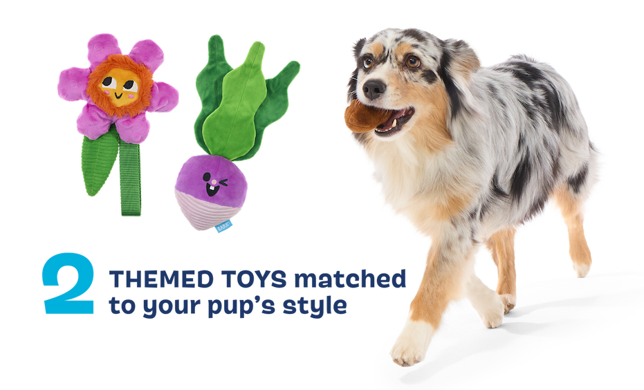 2 THEMED TOYS matched to your pup's style