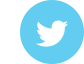 Twitter Logo