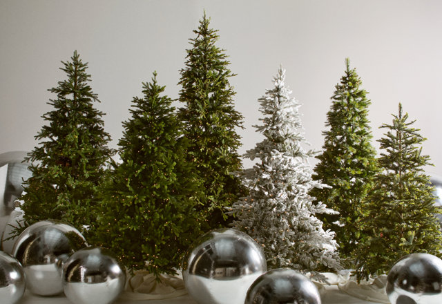 Our Favorite Holiday Trees