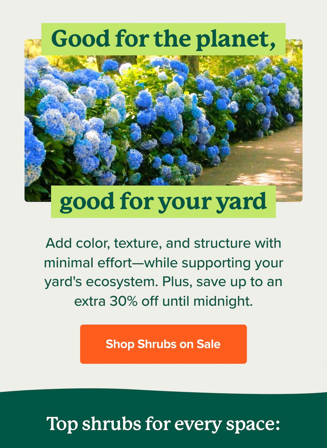 Shop Shrubs on Sale. Plus, save up to an extra 30% off until midnight>>