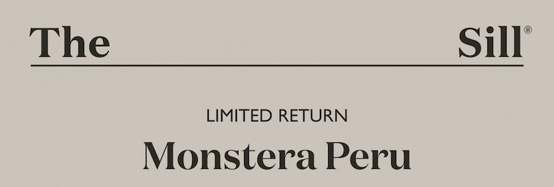 Limited Return: Monstera Peru