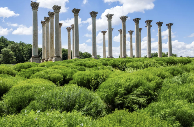 National Capitol Columns