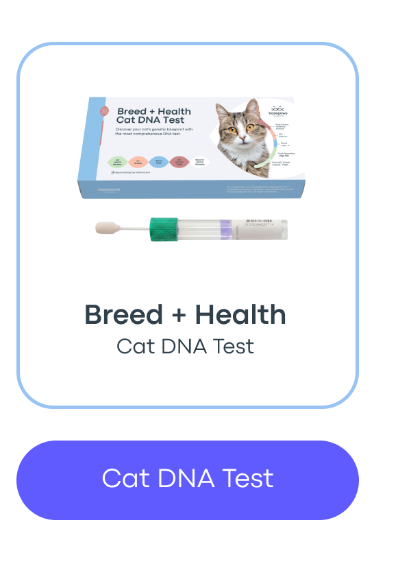 Cat DNA Test